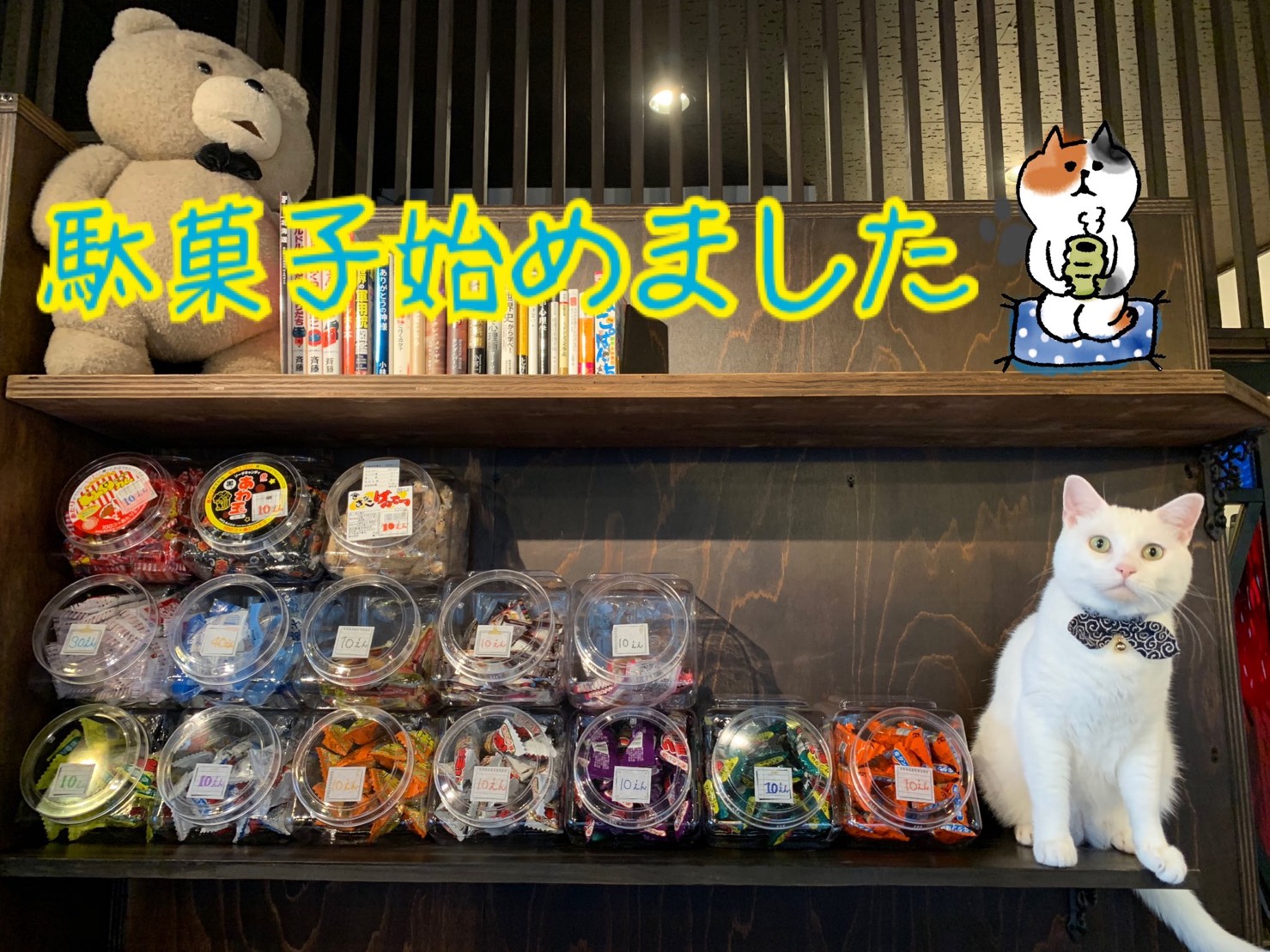 駄菓子屋さん始めました‼